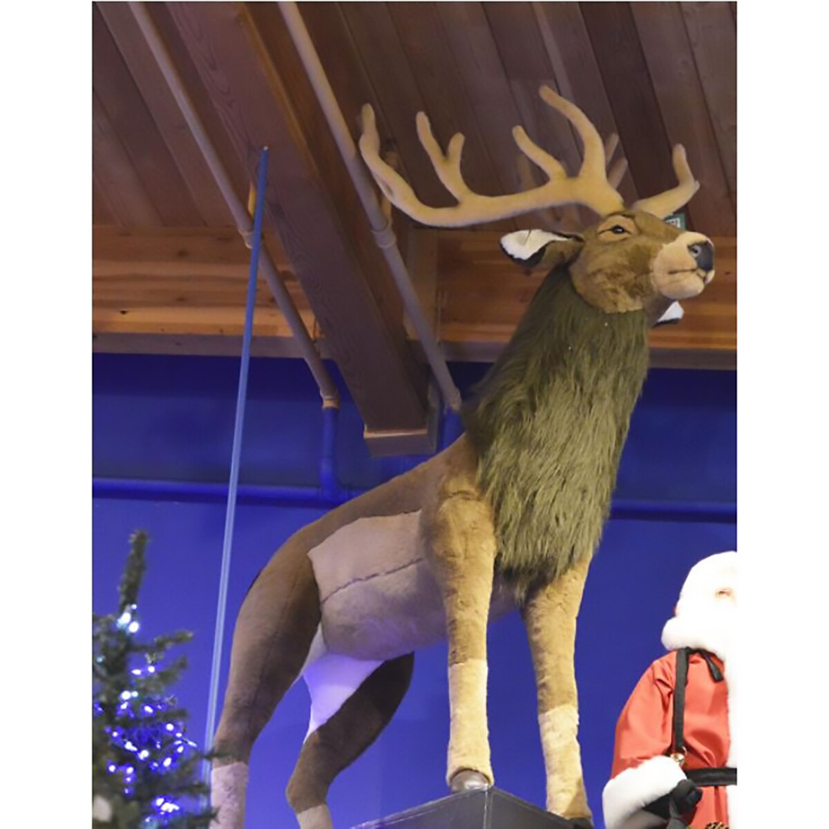 PLUSH ELK EXTRA LARGE (1) Available